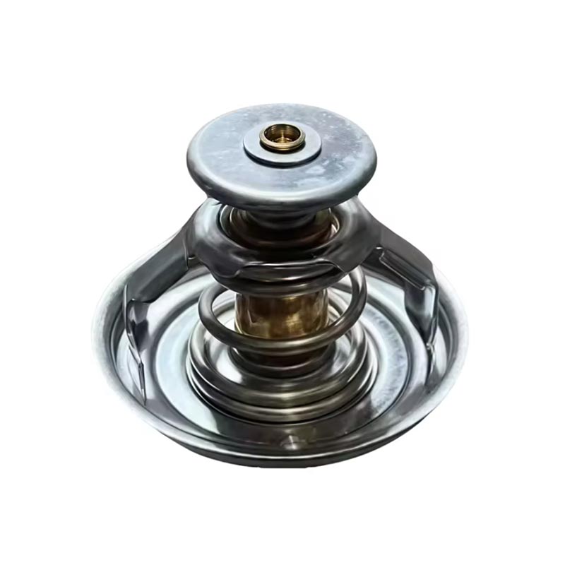 Camion Motor Thermostat 1000837830